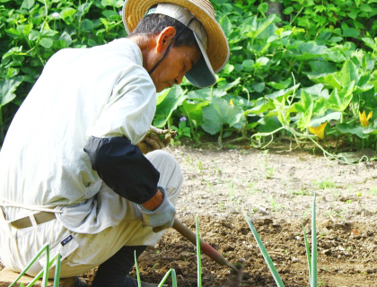 ひだまり農場の山田洋一さん